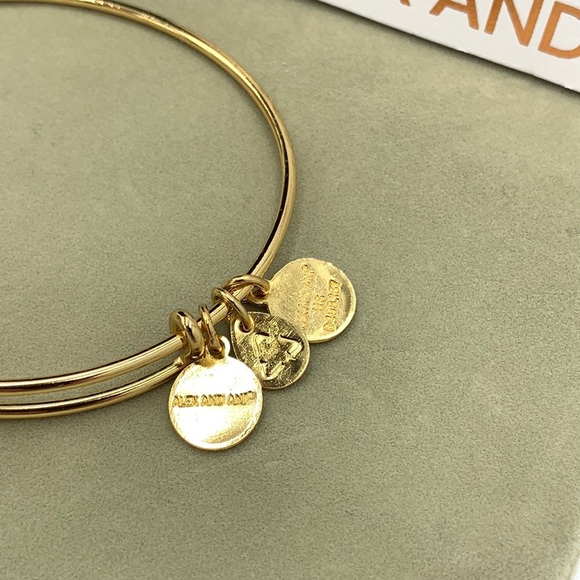 Alex and Ani Color Infusion Holiday Angel Charm Bangle Bracelet - Picture 5 of 11